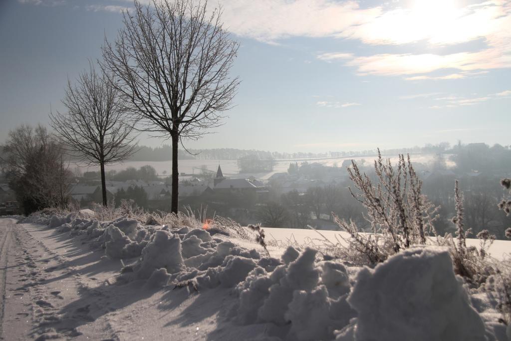 Gillenbeuren Wellness-Ferienhaus Eifel Feeling 아파트 객실 사진